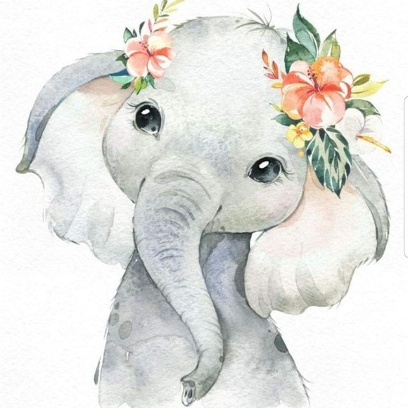elephants62